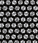 BC AU Ditsy Floral Red Roses Fabric by the yard