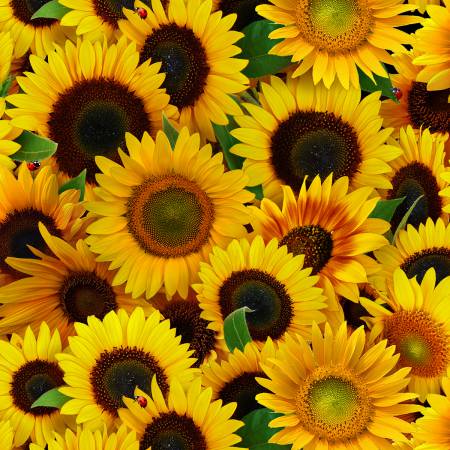 Sunflowers Floral Fabric by the yard