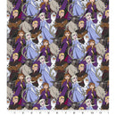 Disney Frozen 2 Friends Forever Fabric by the yard