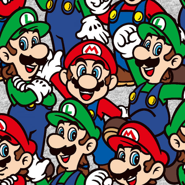 Nintendo Super Mario Luigi Packed Fabric by the yard