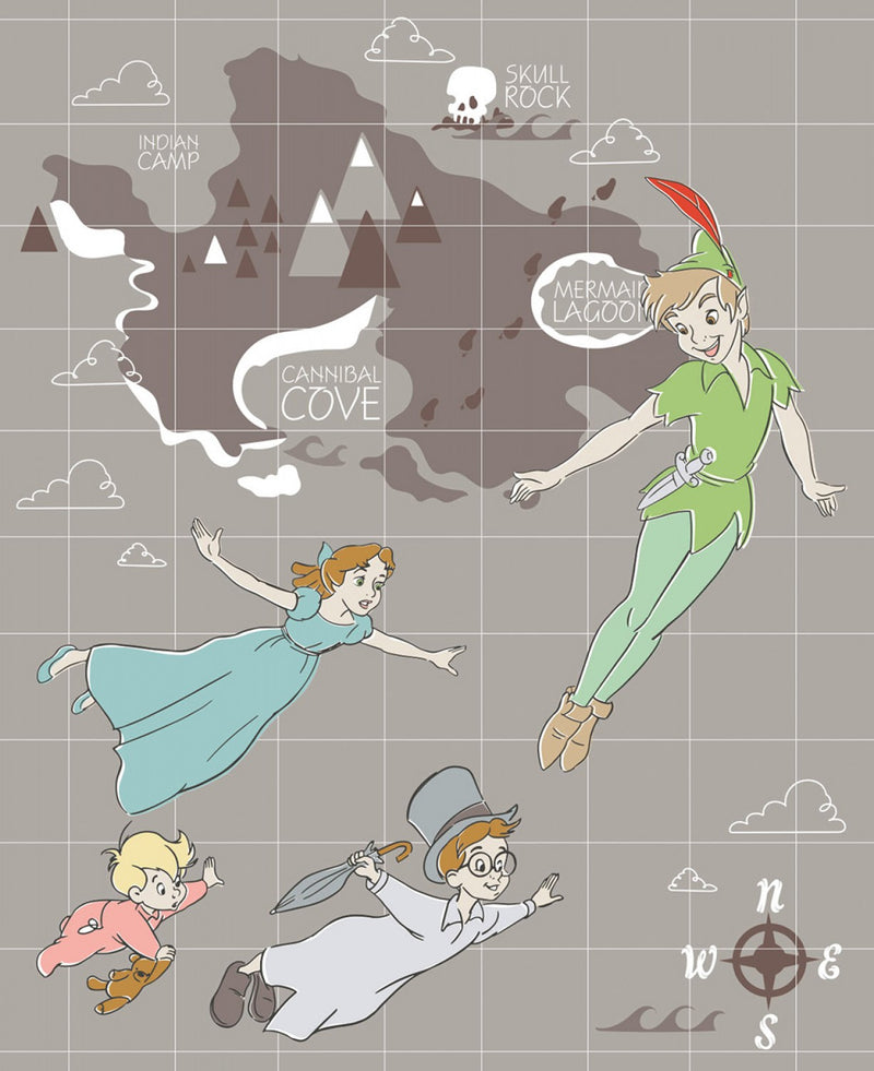 Disney Peter Pan Panel approx. 36in x 44in Fabric by the panel