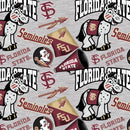 Gray Florida State Seminoles Digitally Printed Fabric by the yard