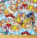 Nickelodeon Paw Patrol Buddies Fabric by the yard